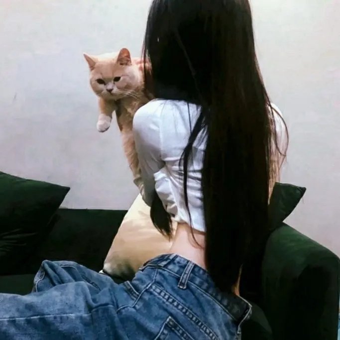 哈吉布基的森林冒险