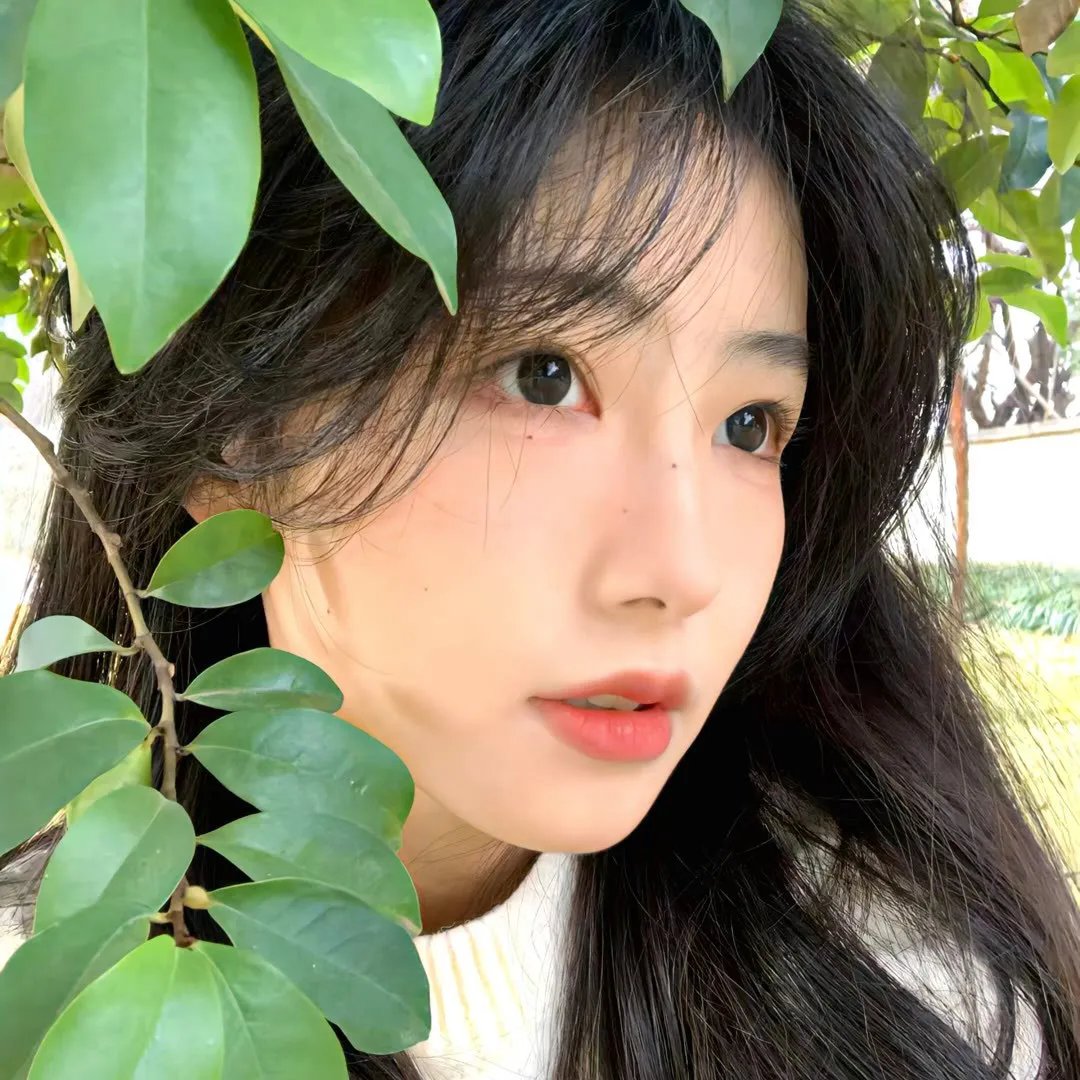 阿姐万万醉